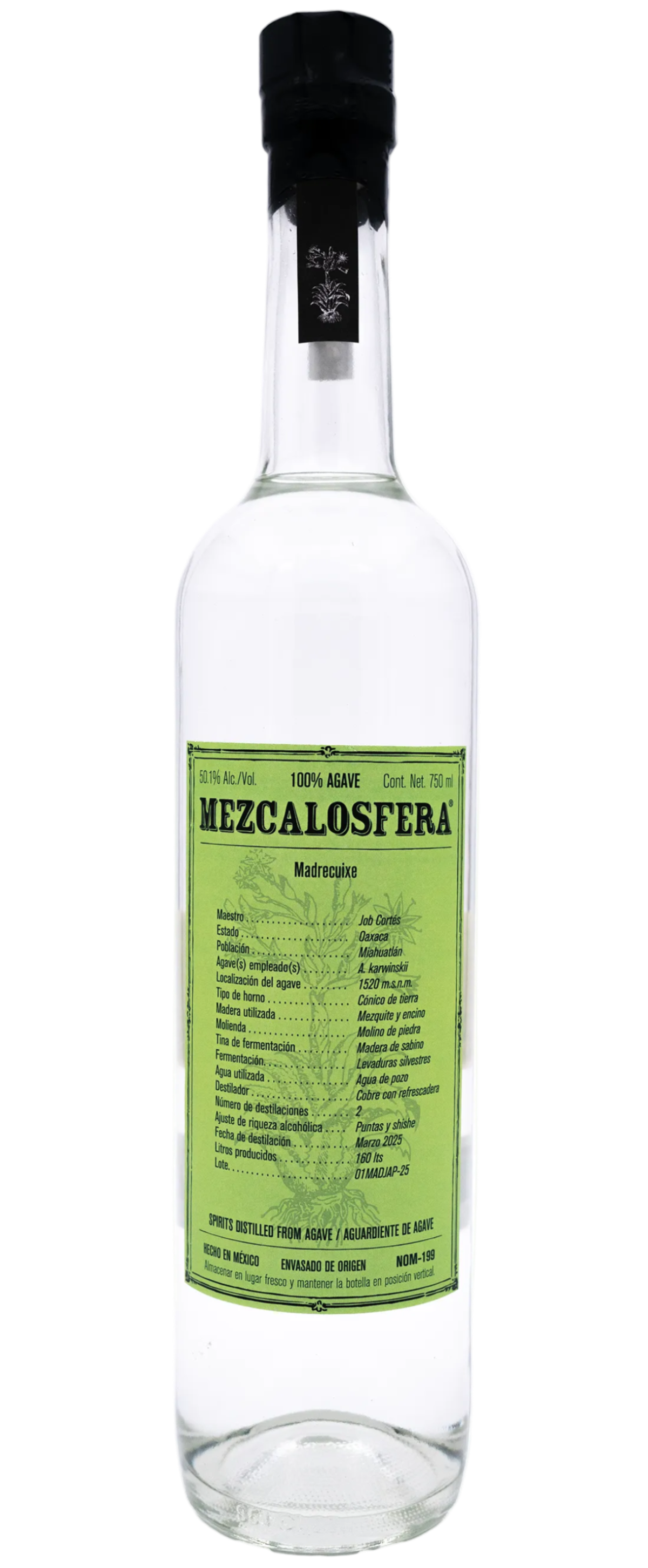 マドレクイシェ