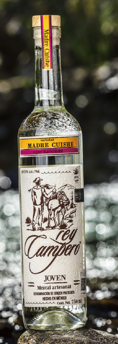 REY CAMPERO MADRECUIXE / マドレクイシェ