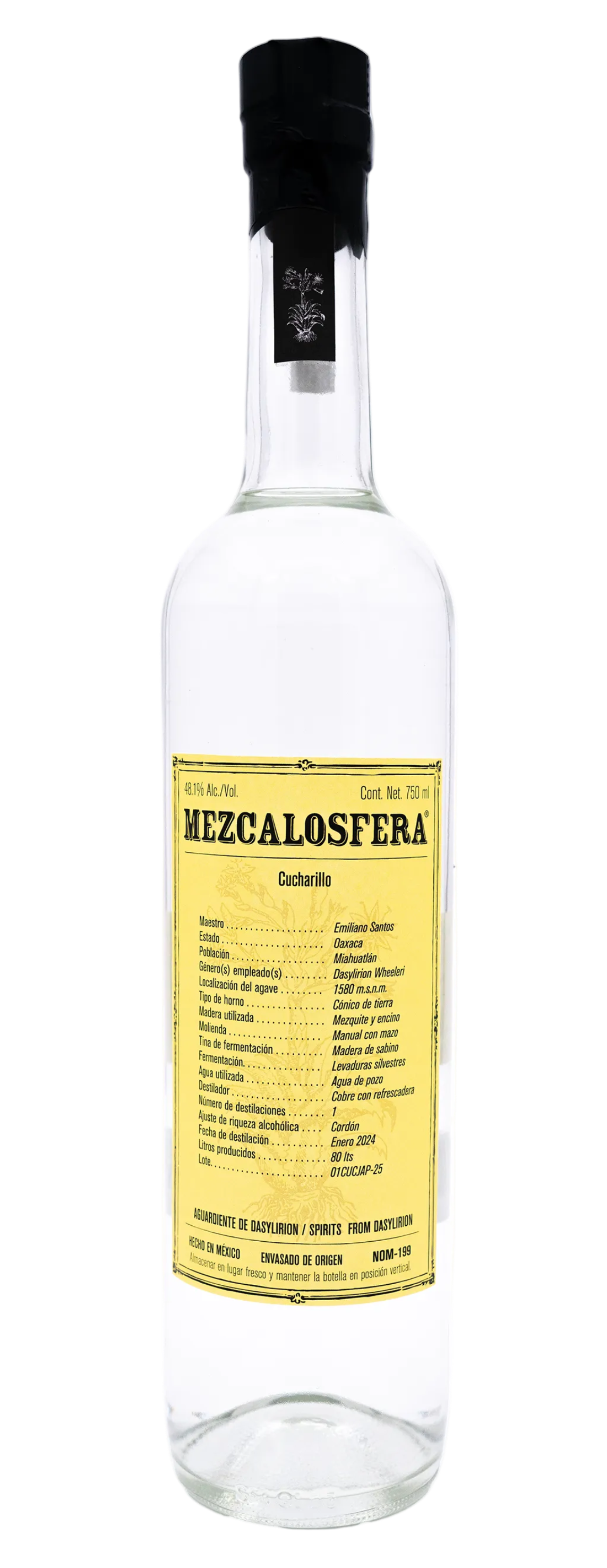 クチャリージョ