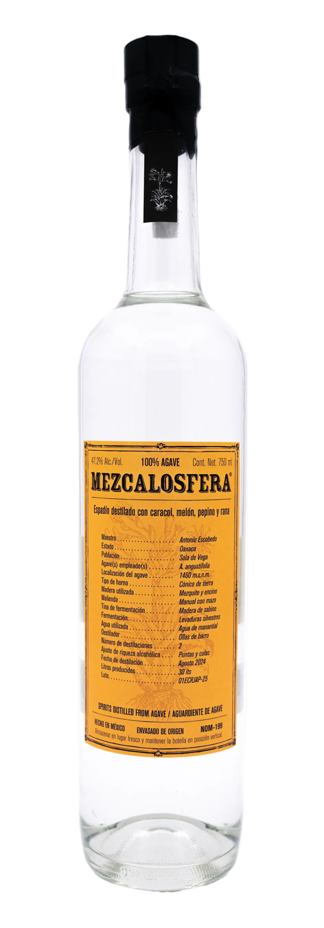 エスパディン　メロン　キュウリ　カエル　カタツムリ