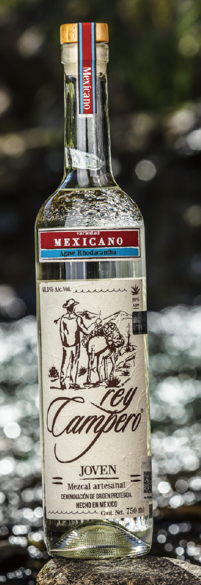 REY CAMPERO MEXICANO / メヒカーノ