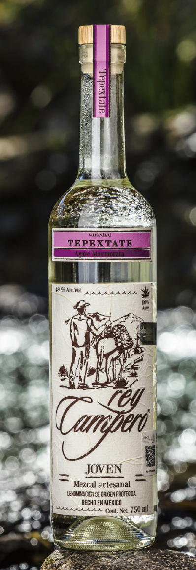 REY CAMPERO TEPEZTATE / テペスタテ